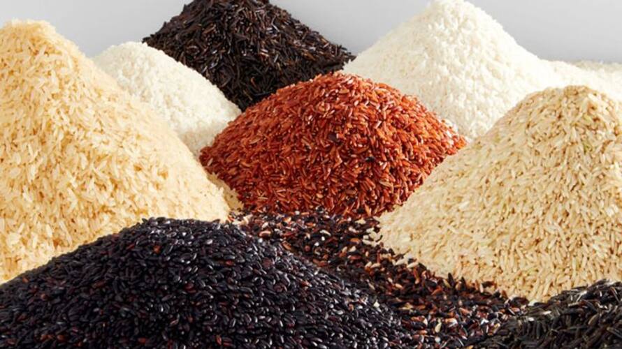 Which rice is good for health? Here's a nutritionist's explanation! Which rice is good for health? Here's a nutritionist's explanation!