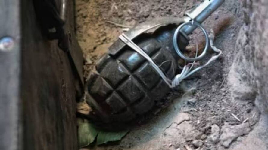Live grenades for home decoration removed then rlp Live grenades for home decoration removed then rlp