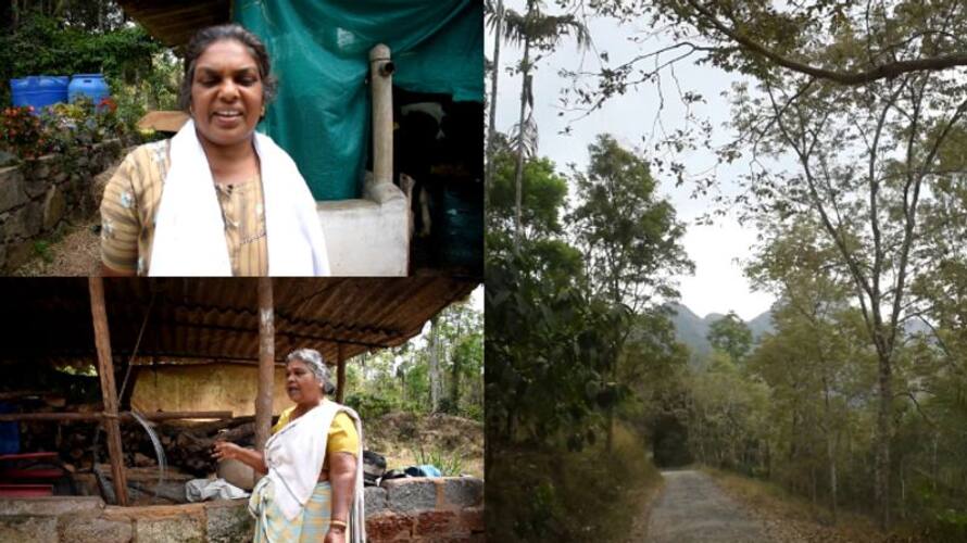 Village of sulthan bathery in fear of tiger Reactions of the natives ppp Village of sulthan bathery in fear of tiger Reactions of the natives ppp