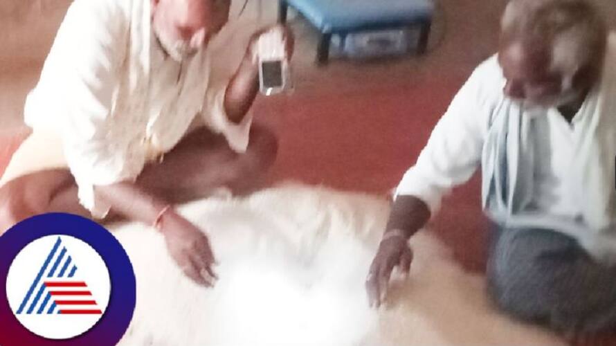 Fertilizer crystals found in ration rice in yarammanahalli at tumakuru rav Fertilizer crystals found in ration rice in yarammanahalli at tumakuru rav