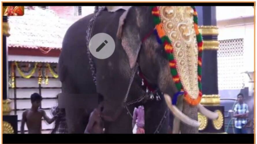 elephant turns violent in ernakulam and thrissur district elephant turns violent in ernakulam and thrissur district