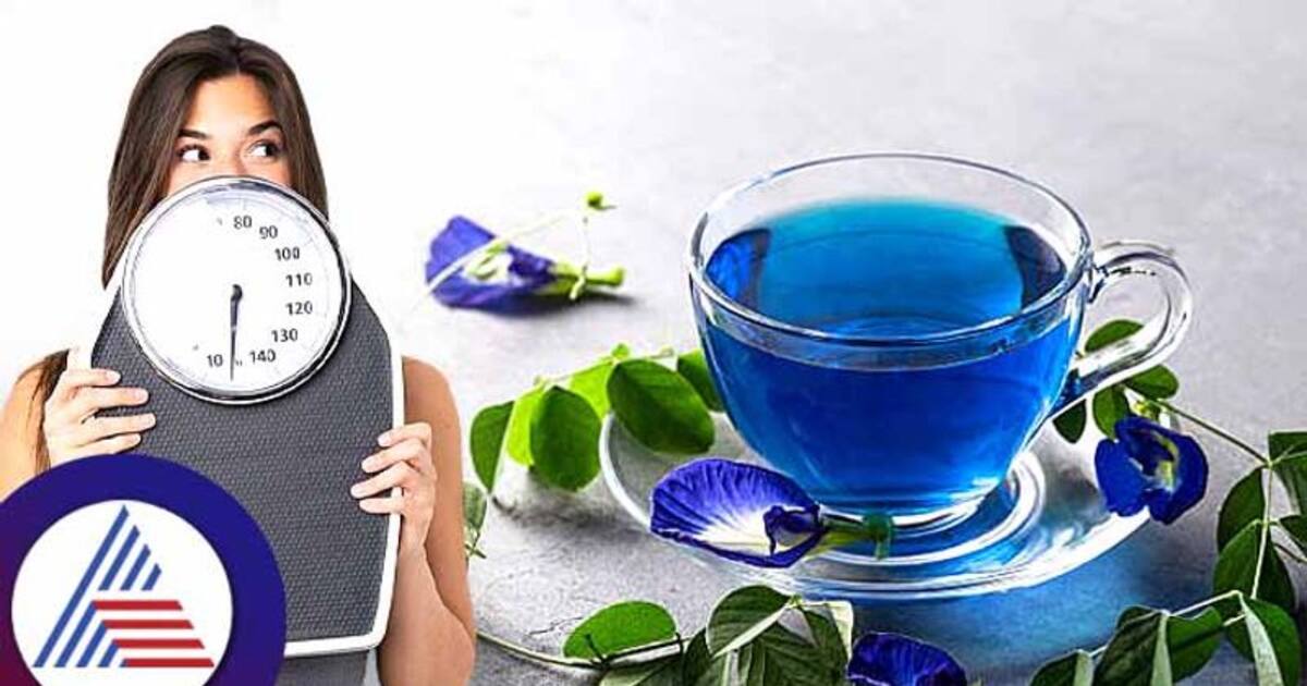 ತೂಕ ಇಳಿಸಿಕೊಂಡು, ಯಂಗ್ ಆಗಿ ಕಾಣಲು ಈ ವಿಶೇಷ ನೀಲಿ ಚಹಾ ಬೆಸ್ಟ್