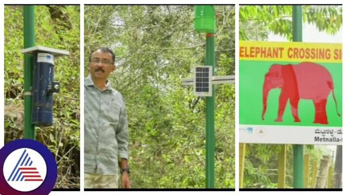 Kodagu forest department tests elephant crossing signal to detect crossing wild elephants gow Kodagu forest department tests elephant crossing signal to detect crossing wild elephants gow