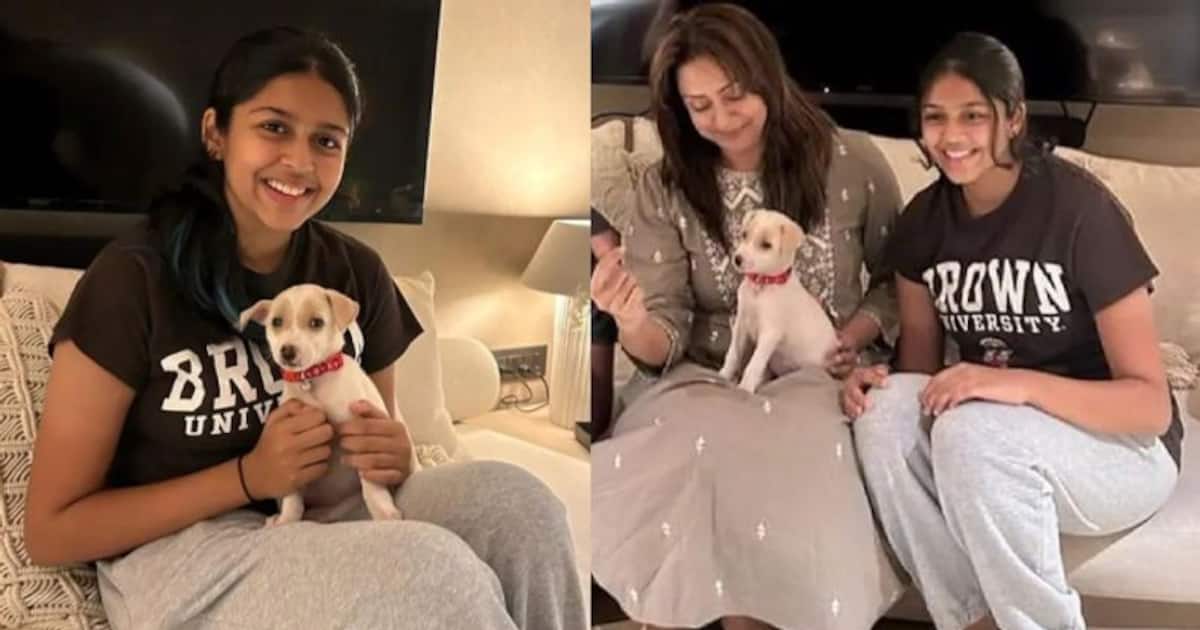 மளமளவென வளர்ந்து... அழகில் அம்மாவுக்கே டஃப் கொடுக்கும் ஜோதிகாவின் மகள் தியா - வைரலாகும் லேட்டஸ்ட் கிளிக்ஸ்