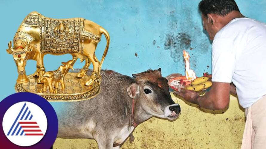Pilli suniyam removal parikaram Pilli suniyam removal parikaram