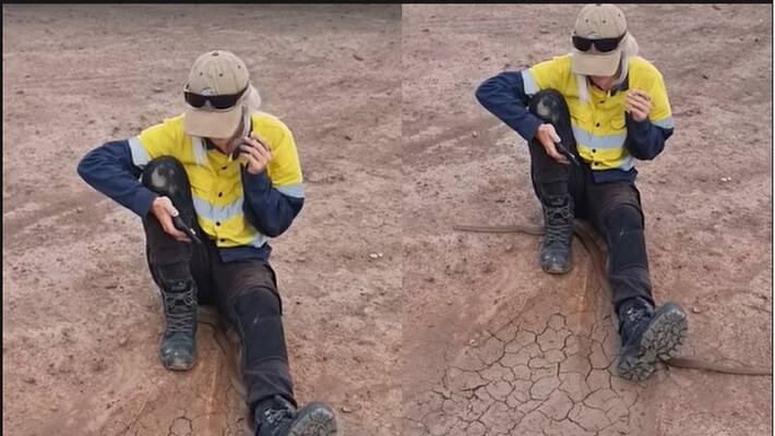 Australia Woman remains calm when highly venomous snake crawling under the leg akb Australia Woman remains calm when highly venomous snake crawling under the leg akb