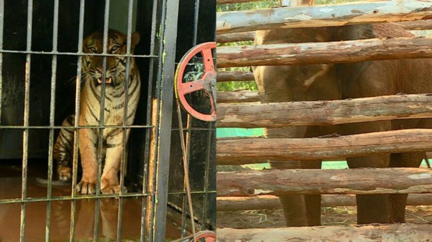 PM 2 renamed as Raja Tiger named Adheera villain of KGF kgn PM 2 renamed as Raja Tiger named Adheera villain of KGF kgn