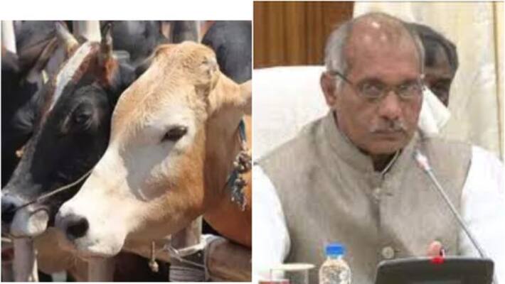 Cow hug will reduce your BP says UP minister Dharam pal singh Cow hug will reduce your BP says UP minister Dharam pal singh