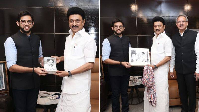 Uddhav Thackeray's son Aditya Thackeray met Tamil Nadu Chief Minister Stalin