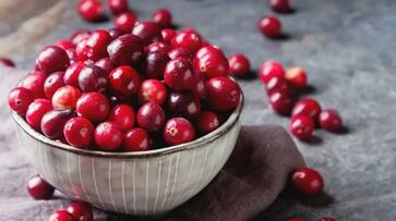 how to use cranberry for skin problems how to use cranberry for skin problems