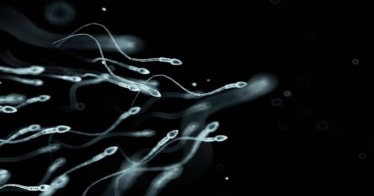 ஆண்களின் விரைப்பை, விந்தணுவில் பிளாஸ்டிக் துகள்கள்! ஆய்வில் அதிர்ச்சி தகவல்.. 