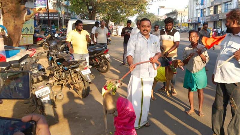 Opposition to valentine's day.. hindu munnani married dogs..!