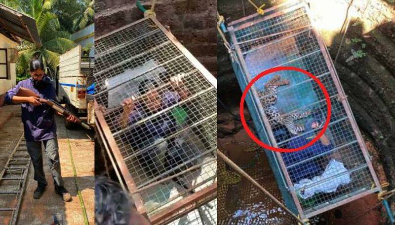 Woman veterinarian sits in cage, rescues leopard from 25ft well in 2-hour operation in Mangaluru