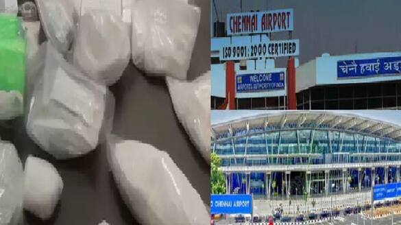 cocaine seizure worth rs 35 crore at chennai airport today Rya