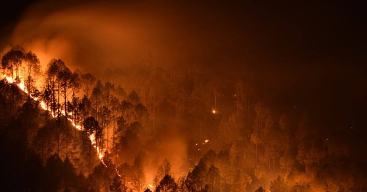 சதுரகிரி மலையில் கட்டுக்குள் வந்த காட்டு தீ - பக்தர்களுக்கு பாதிப்பு?