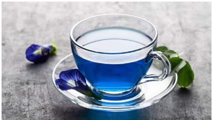 Health benefits of blue tea for diabetic patients know details inside gnr