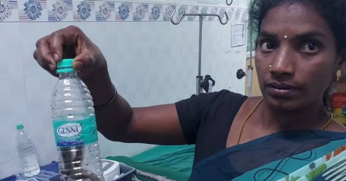 மகனை கடித்த பாம்பை பிடித்து தண்ணீர் பாட்டிலில் அடைத்து எடுத்து வந்த தாயால் பரபரப்பு!