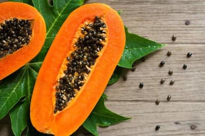 health benefits eating papaya daily rse