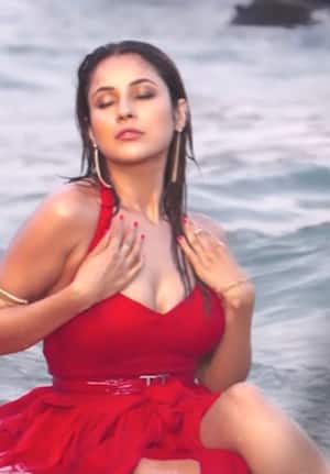 Kajal Naked Sexy Video Hd - Shehnaaz Gill HOT Pics: Actress to romance Nawazuddin Siddiqui in next video,  here are her alluring photos