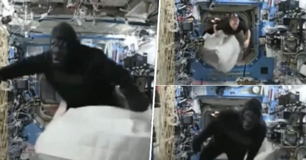Astronaut sports Gorilla suit on ISS to prank crew member; watch old
