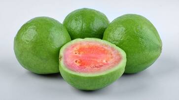 know the health benefits of eating guava daily know the health benefits of eating guava daily