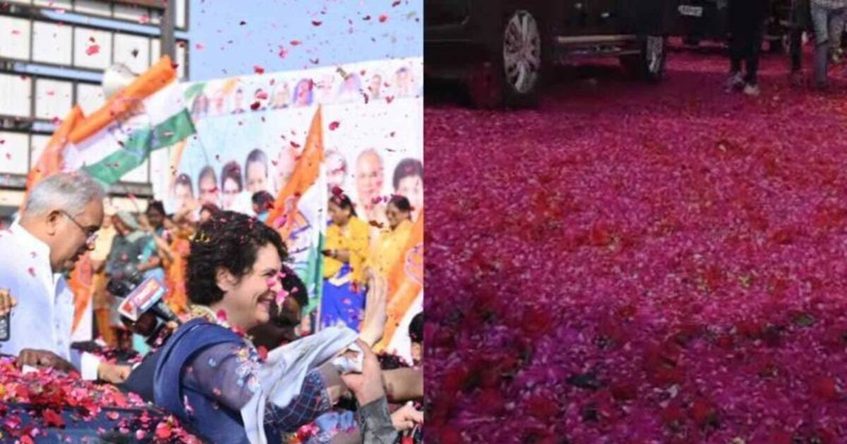  Priyanka Gandhi: பிரியங்காவுக்கு 6000 டன் ரோஜா இதழ்களால் ரோஸ் கார்பெட் வரவேற்பு!