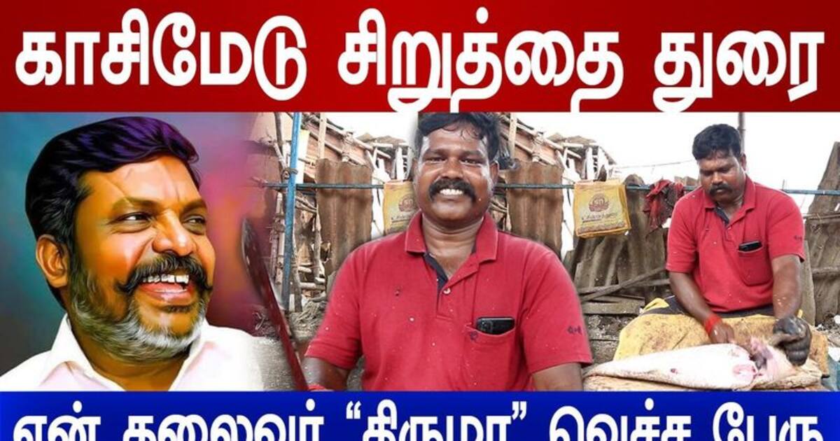 Watch : வித விதமான மீன்களுக்கு விதவிதமான கத்திகள் இருக்கு! - மீன் வெட்டி காசிமேடு துரை சுவாரஸ்யம்!