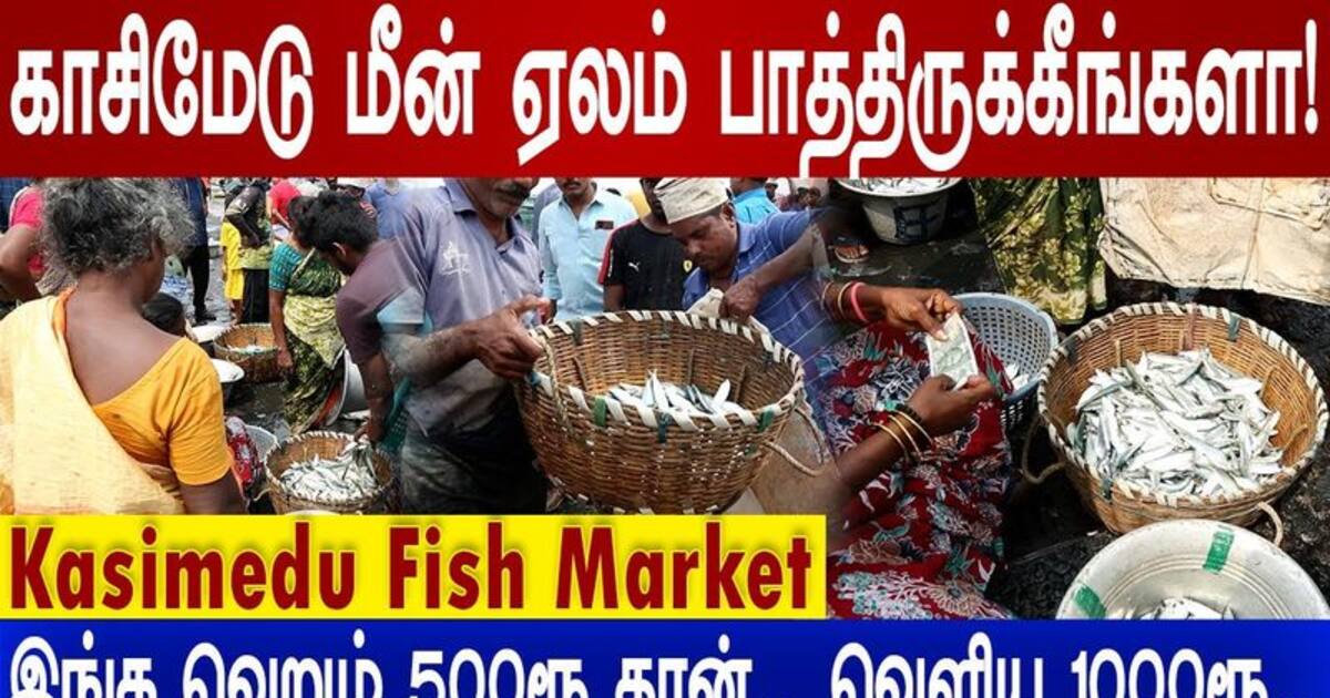 Exclusive : காசிமேடு மீன் ஏலம் பாத்திருக்கீங்களா! இங்கு ஒரு விலை! வெளியே ஒரு விலை!