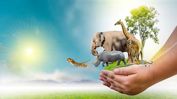 What is the theme of World Wildlife Day 2024 nti