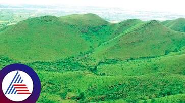 Basavaraj Horatti Demand to Create Special Task Force for the Conservation of Kappattagudda grg Basavaraj Horatti Demand to Create Special Task Force for the Conservation of Kappattagudda grg