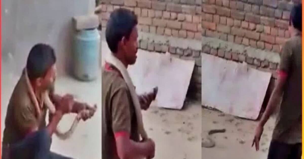 Bihar Snake Kiss Video: மதுபோதையில் விஷப் பாம்பை கையில் பிடித்து முத்தமிட்ட இளைஞர் பலி