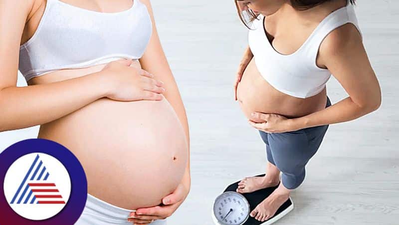 From Avocados to Oysters, here are list of food items essential to increase fertility in women RBA