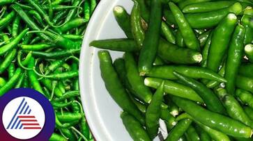 the benefits and side effects of green chilies the benefits and side effects of green chilies