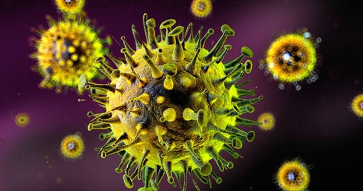 BREAKING : ஷாக்கிங் நியூஸ்.. இன்புளுயன்சா வைரஸ் பாதிப்பால் தமிழகத்தில் இளைஞர் உயிரிழப்பு..!