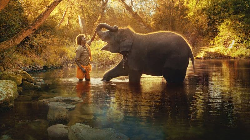 DFO Venkatesh about The oscar winner Kartiki Direct Elephant Whisperers Documentary