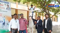 5 year old boy standing on a horse and doing silambam in Coimbatore is amazing!