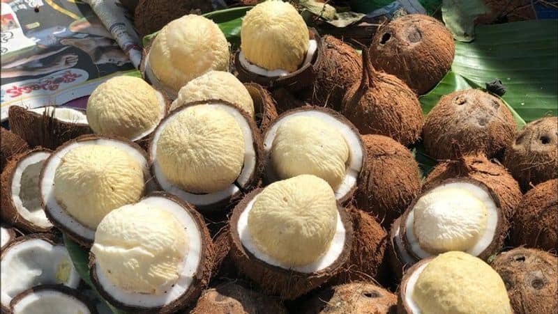 EPS request to increase source price of copra coconut to 150