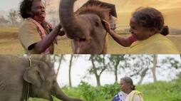 Oscar winner "The Elephant Whisperers" - This is a joy for the whole of India.