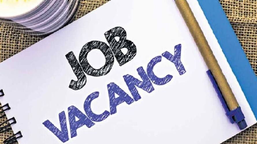 job vacancy in central govt and here the details about how to apply job vacancy in central govt and here the details about how to apply
