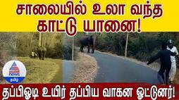 a Man escaped from an elephant's attack at Chamarajanagara