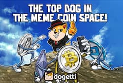 Dogetti Continues to Impress With Its Stacks of Product Offers - Follows Path Taken By EOS and Decentraland