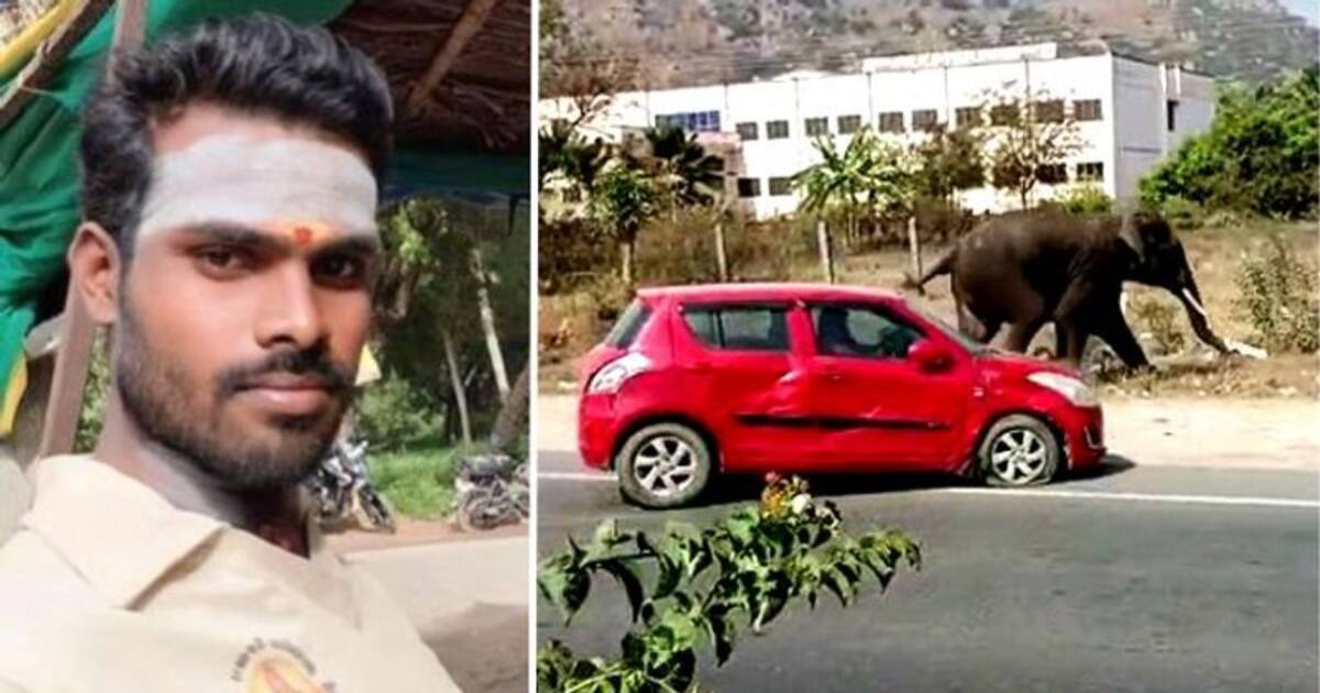 செல்பி மோகத்தால் வந்த வினை.. போனில் வீடியோ எடுத்த இளைஞரை மிதித்து கொன்ற யானை