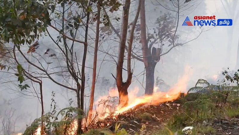 The forest fire in Coimbatore is being extinguished by pouring water from a helicopter