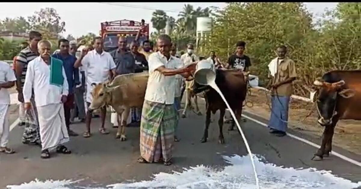 ஈரோட்டில் பாலை சாலையில் ஊற்றி உற்பத்தியாளர்கள் போராட்டம்