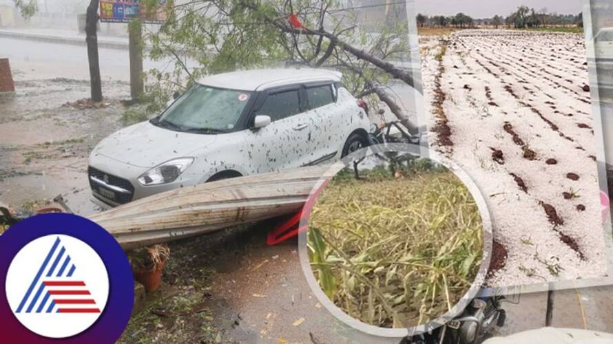 Bidar farmers shaken by hailstorm one farmer died thousands of acres maize mango crop lost sat Bidar farmers shaken by hailstorm one farmer died thousands of acres maize mango crop lost sat