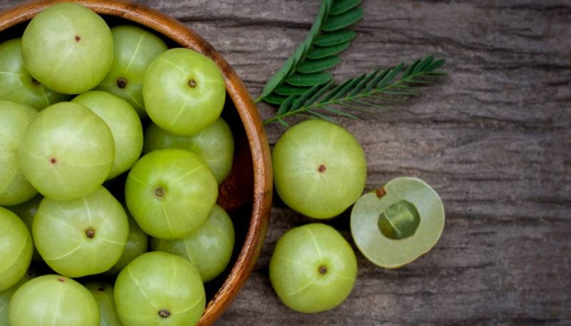 What is the significance of Amla tree in Hinduism