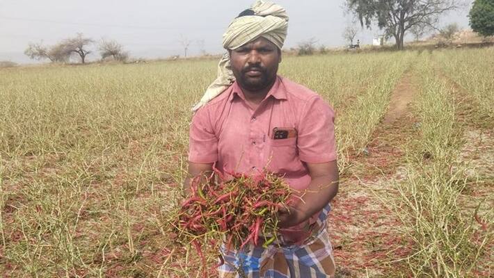 Crop Loss Due to Heavy Rain in Karnataka grg Crop Loss Due to Heavy Rain in Karnataka grg