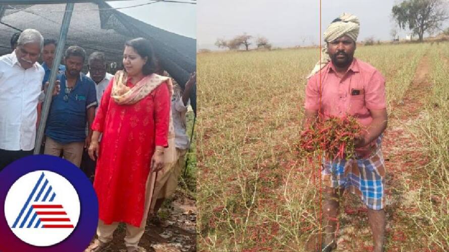 untimely rainfall windstorm Massive crop loss Farmers panic at kalaburagi rav untimely rainfall windstorm Massive crop loss Farmers panic at kalaburagi rav