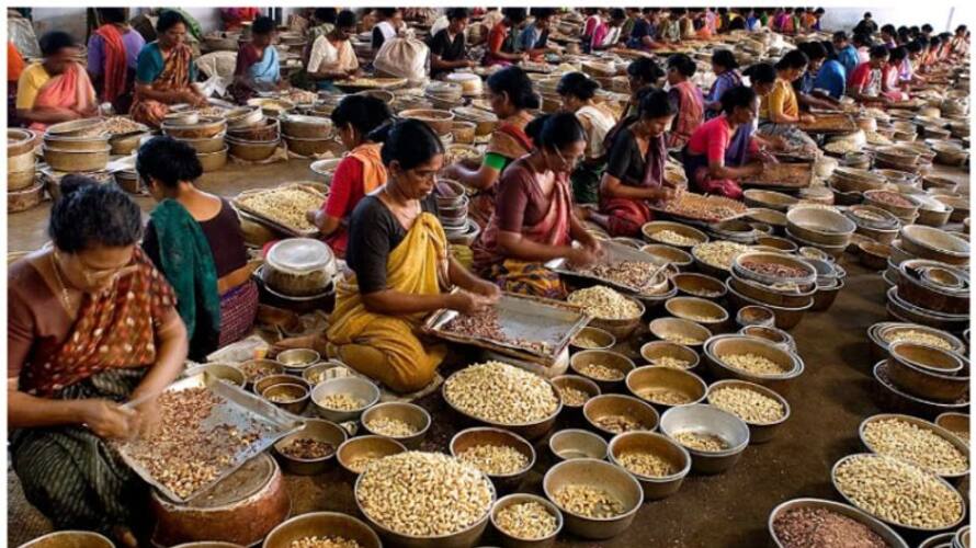 cashew workers and factory management strike in kollam enters eighth day vcd cashew workers and factory management strike in kollam enters eighth day vcd