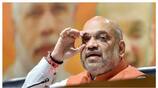 Amit Shah unveiled a bronze statue of Sardar Vallabhbhai Patel suh